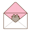 Mail naar Cattery Kitiyakara | Thai SIamees CAttery