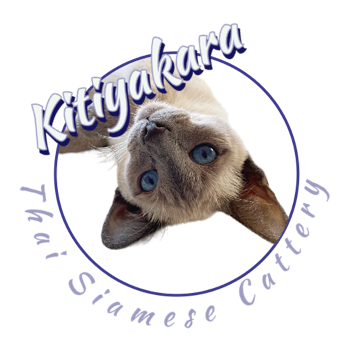 Logo Cattery Kitiyakara